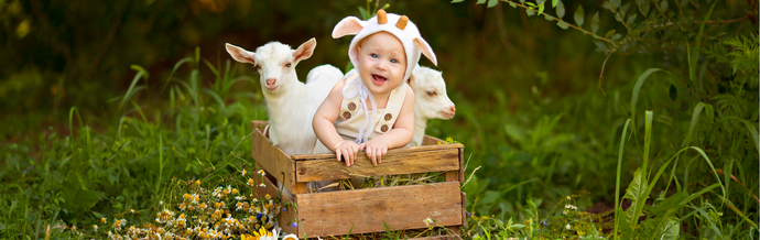 Jovie Organic Goat Infant Formula: The Ultimate Guide